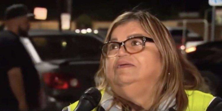 snap-democrat-woman-fat