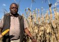 South African Farming Crisis