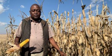 South African Farming Crisis