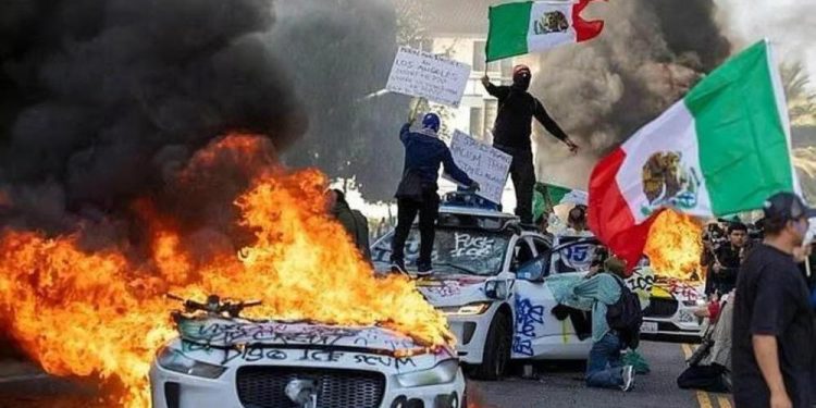 Left-Wing Revolutionaries