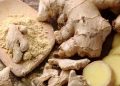Ginger