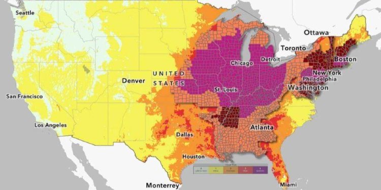Heat Wave