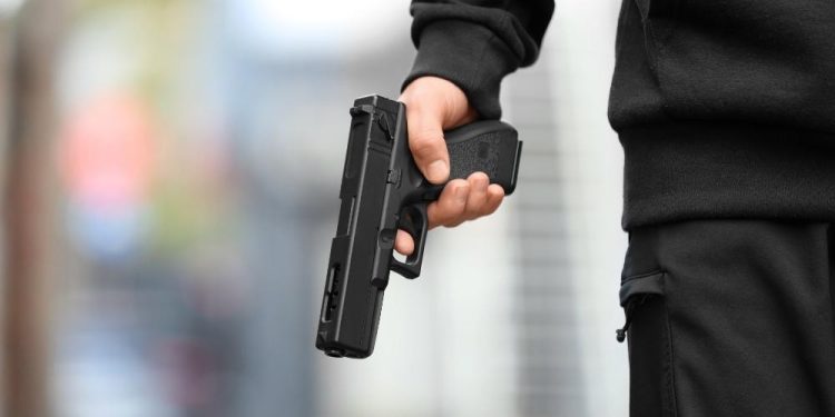 Gun