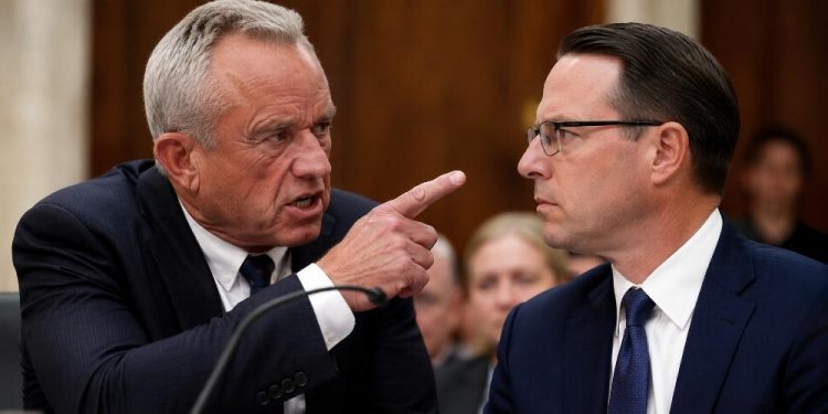 RFK Jr Shapiro